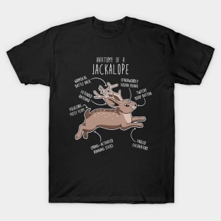 Jackalope Anatomy T-Shirt